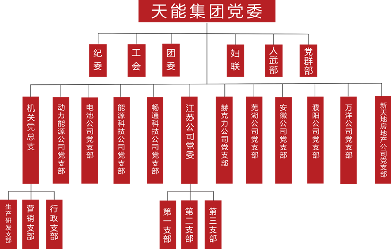 4001老百汇建团党委组织架构